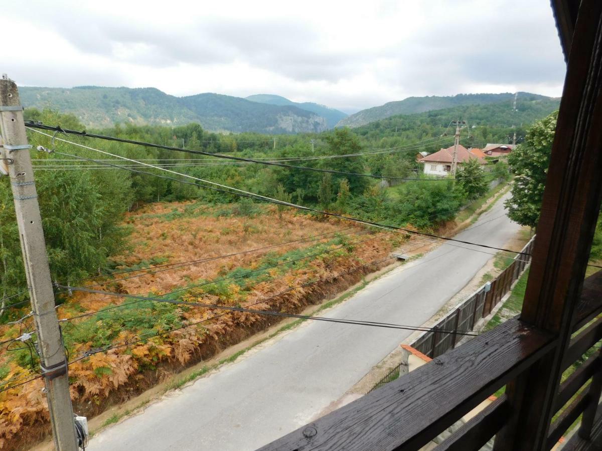 Pensiunea Casa Domnitei บายาเดเฟียร์ ภายนอก รูปภาพ