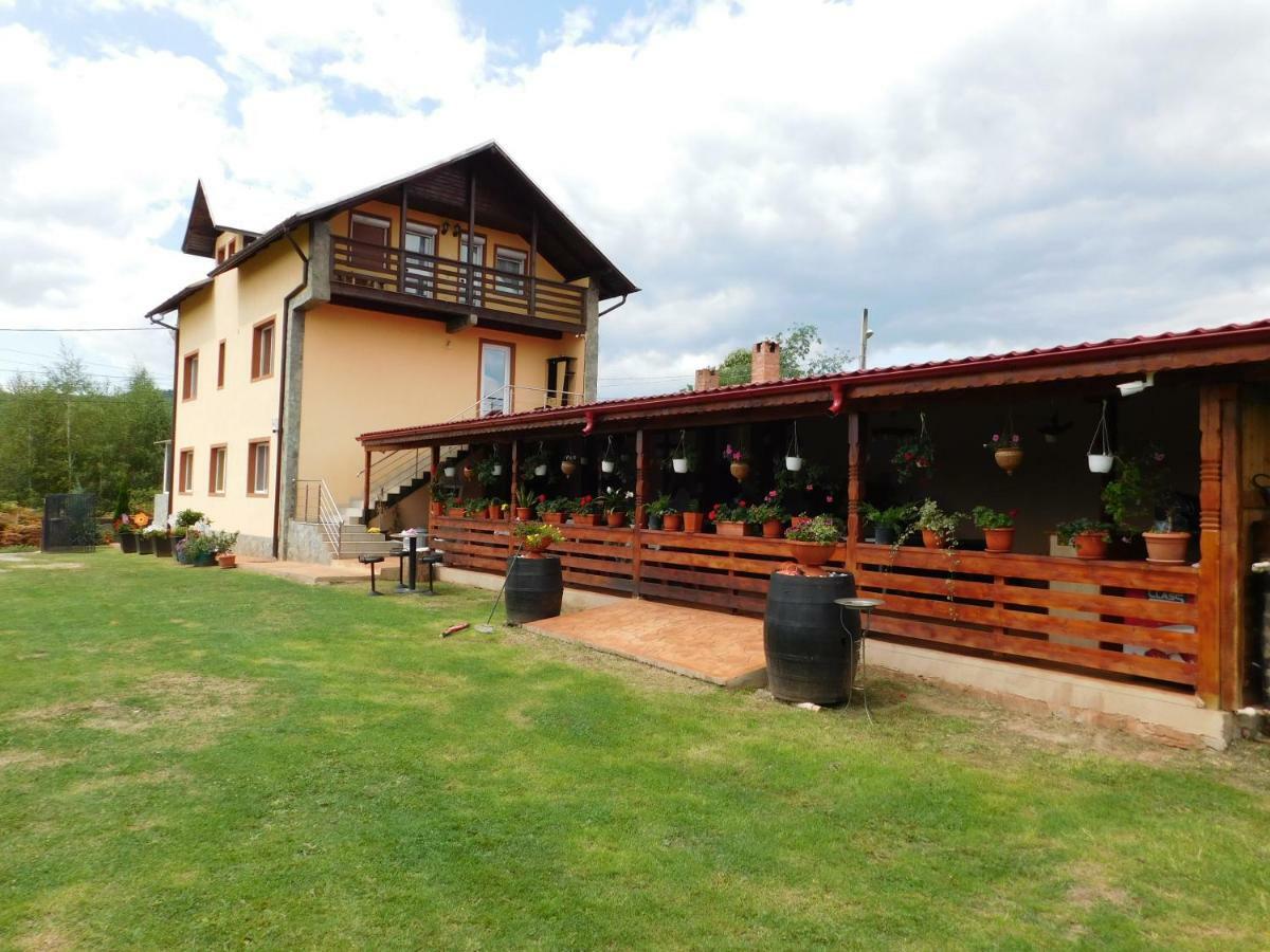 Pensiunea Casa Domnitei บายาเดเฟียร์ ภายนอก รูปภาพ